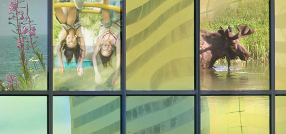 alaska community graphic web designer