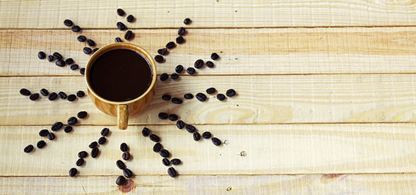 about a visual voice anchorage